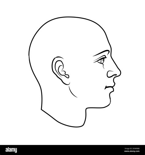 Human Head Outline Drawing