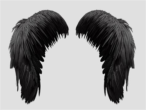 Free Black Wings Png Isolated Objects Textures For Photoshop