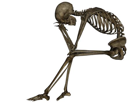 Skeleton Png High Quality Image Png Arts