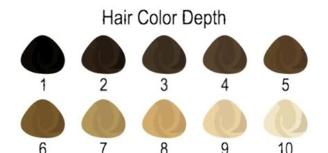 The Universal Hair Color Numbering System Explained The Hair Addict