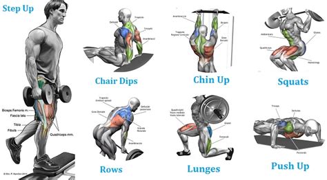 A 12 week full body beginner workout routine designed to introduce you to a range of gym equipment and basic bodybuilding exercises in under 60 minutes. Full Body Workout Routine - Using Bodyweight Exercises to ...