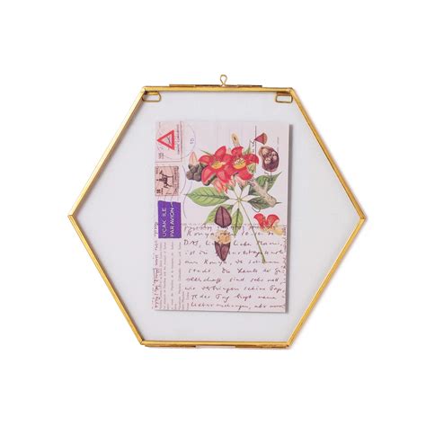 Buy Ncyp Small Hanging Hexagon Arium Brass Glass Frame For Pressed Flowers Dried Flowers