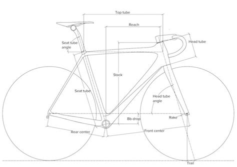 Road Bike Vs Hybrid Bike Choosing The Right Bike