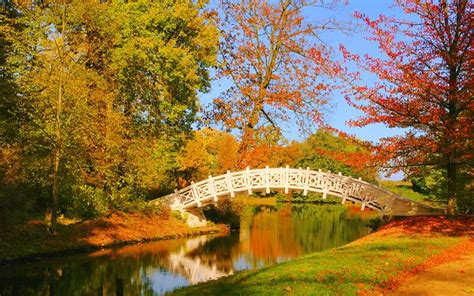 Bridges In Autumn Windows 10 Theme Free Wallpaper Themes