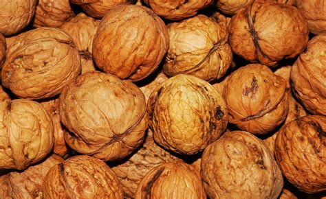 13 Proven Health Benefits Of Walnuts Arnett Farms