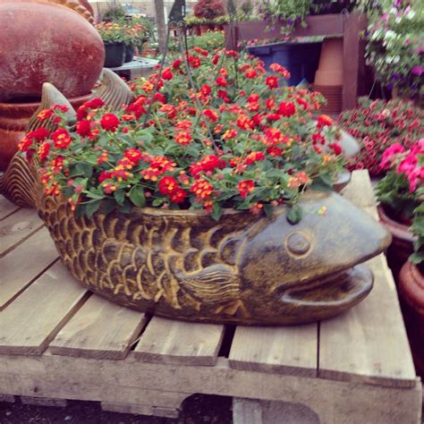 Due to my backup routine, i am not too worried if it does fail as i have a replica microsd card onto which i can restore my last snapshot. Large ceramic fish flower pot with a lantana plant at our ...