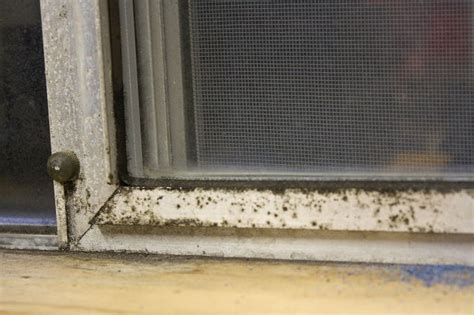 Painting aluminum window frames black. How to Clean and Restore Aluminum Window Frames | Hometalk