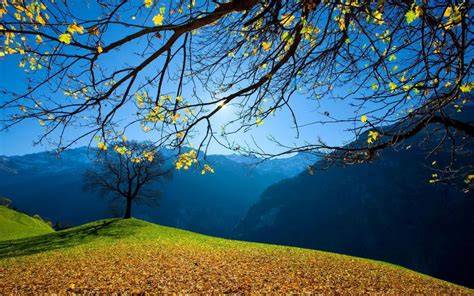 Autumn Trees Foliage Mountains Blue Sky Sun Wallpaper Nature And