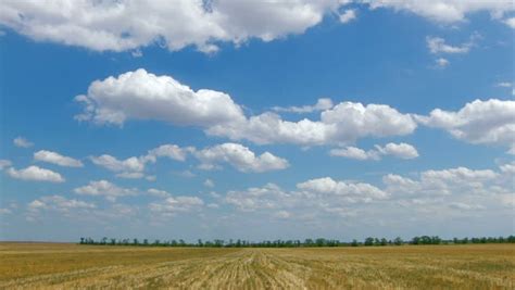 Hd Panorama Of Wheatfield After Harvest And Blue Sky With White Clouds