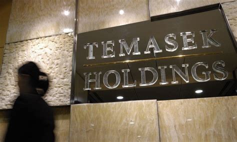 Is Temasek Holdings Everywhere?