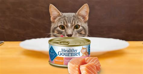 In addition to the high protein content, wet cat food also has other benefits for feline health and wellness. Blue Buffalo Cat Food 24-Cans Only $12 Shipped on Amazon ...