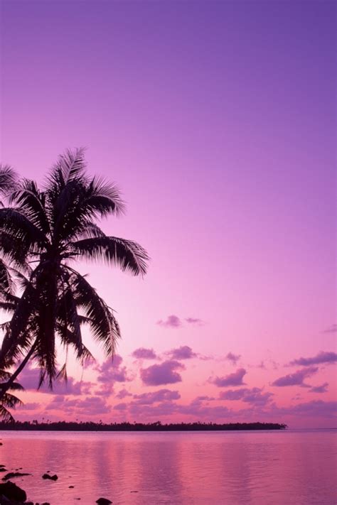 Free Download Pink Sunset Wallpaper 640x960 For Your Desktop Mobile