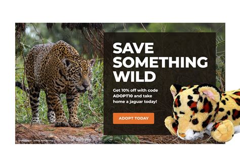 Jaguar Defenders Of Wildlife