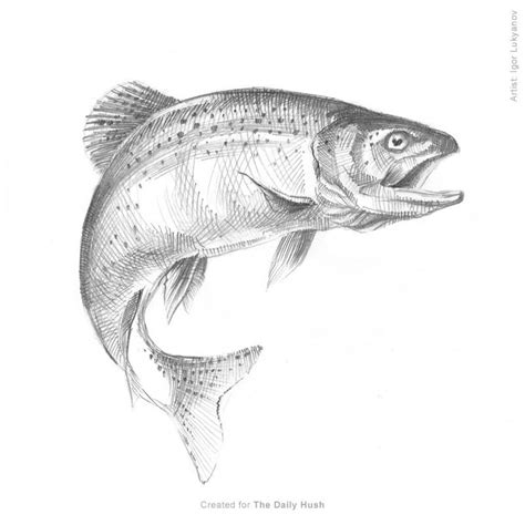 Easy landscape drawing for kids and beginners|learn house and nature simple painting. Fish Sketch (Trout) | Fish sketch, Fish drawings, Trout art
