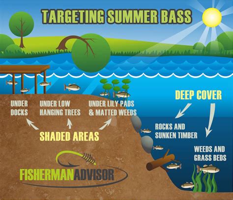 The consensus is that the morning is the best time to give your indoor plants a drink—especially during the hot summer months. Best Bass Lures For Summer - Catch More Bass This Summer