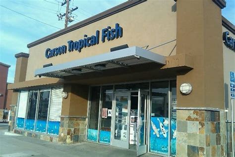 If we don't have what you need in stock, we can get it for you in 2 business days. Carson Tropical Fish - Local Fish Stores - Hawaiian ...