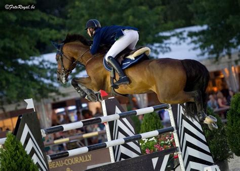 Pin By Sofia Alegre Costa On Showjumping Show Jumping Horses Show