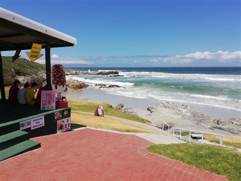 Lunch On The Lawn Of Voëlklip Beach In Hermanus 2021 01 09 An