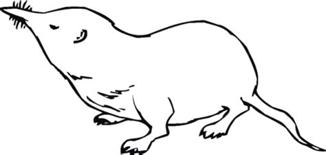 A perfect way to help your students prepare for a quiz, review the content taught in class, or to use as a filler activity (i.e. Mole 6 coloring page | SuperColoring.com