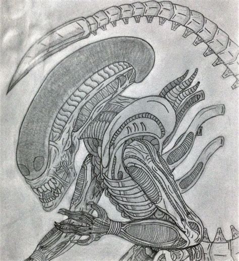 alien xenomorph drawing by midnighthazey on deviantart