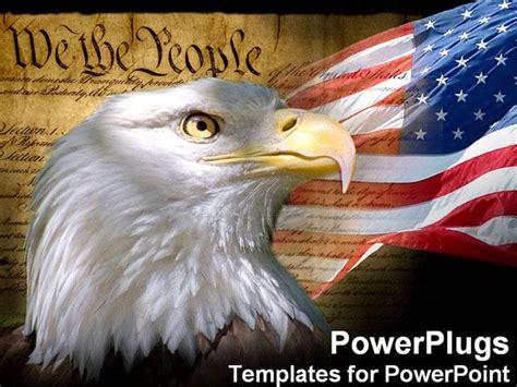 Free Download Eagle Flag Engle Bob Images At Clkercom Vector Clip Art