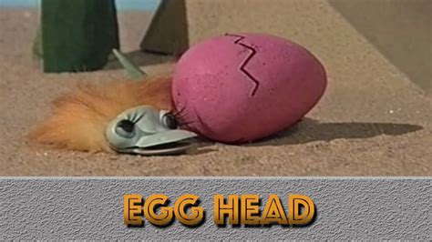 Hairy Jeremy Egg Head Youtube