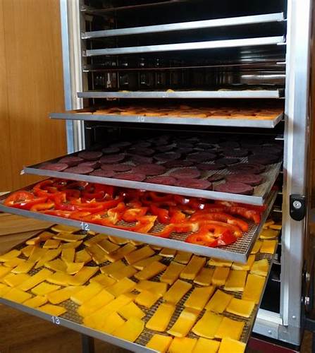 Диета на год сушка