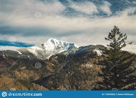 Dramatic Snowy Peak Lonely Mountain Norway Landscape And Pine Tree