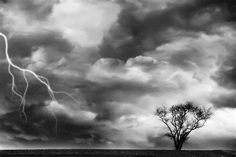 Black And White Storm With Lightning And Tree By Rebecca