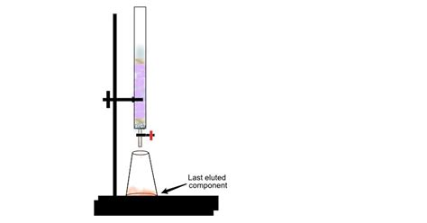 How To Perform Column Chromatography With Pictures Wikihow