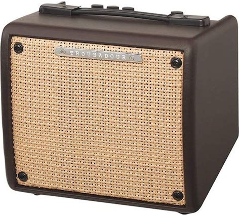 Top 5 Best Guitar Amps Under 200 Spinditty Riset
