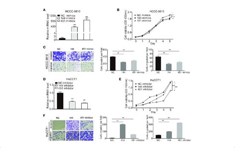 mir 144 5p and mir 451a altered the proliferation invasion and download scientific diagram