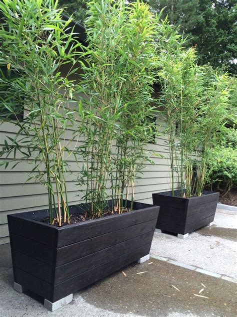 Bamboo Planter Wood Planter Box Diy Planters Cedar Planters Potted
