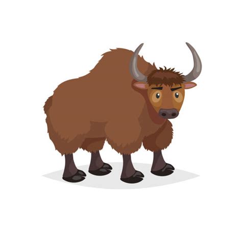 Yak Clipart Illustrations Royalty Free Vector Graphics And Clip Art Istock