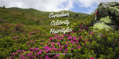 Canadian Celebrity Hairstyles Get Inspired For A Change