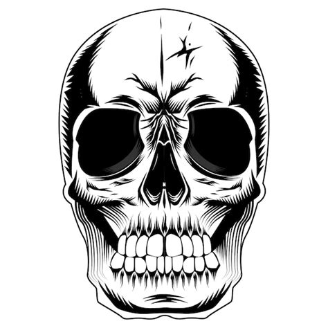 Premium Vector Human Skull Illustration