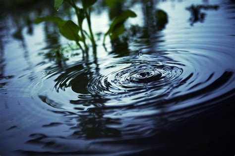 Xrp and the payments startup ripple, which owns more than half of the total supply of xrp, continues to have a large following of investors known as the xrp the daily hodl does not recommend the buying or selling of any cryptocurrencies or digital assets, nor is the daily hodl an investment advisor. 22 Beautiful Pictures of Ripples in Water