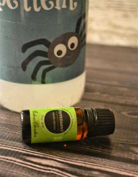 You can also use vinegar and coconut oil. Homemade Non-Toxic Spider Repellent #DIY | Building Our Story