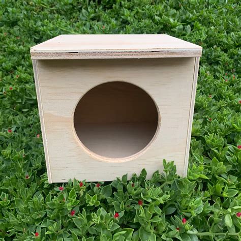 Japanese Coturnix Quail Nest Box Mrbirdbox