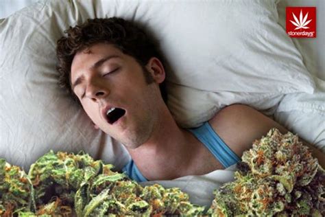 Cannabis Sleep 10 Things For Your Herbal Nightcap