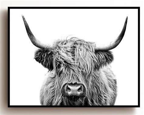 Highland Cow Print Buffalo Print Bull Print Cattle Print | Etsy in 2021 | Highland cow print 