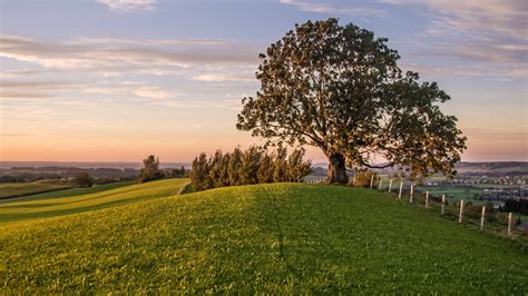 Free Images Landscape Tree Horizon Fence Sky Sunset Field Farm