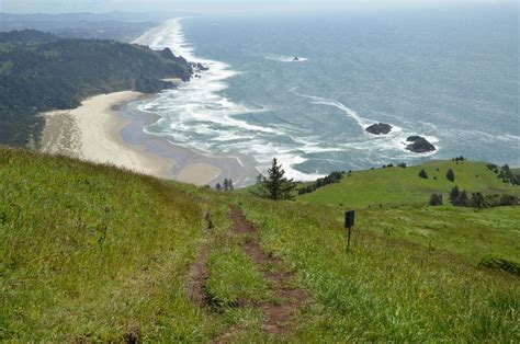 The 15 Most Iconic Hikes On The Oregon Coast