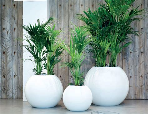 So i thought i'd round up some fun planters i've been loving, as a nice grouping of planters is an easy way to perk up a front door, porch. Round Fiberglass Planters - Round Hotel Planter Boxes | T2 ...