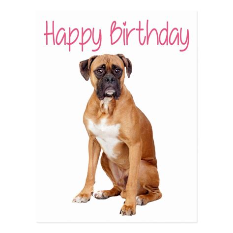 Happy Birthday Boxer Dog  Oleta Gilliam