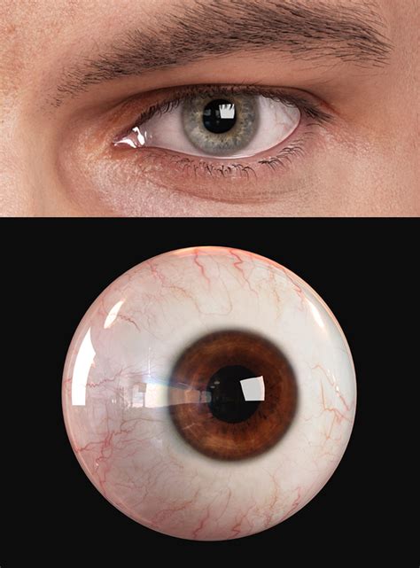 It occurs in some people with a weakened immune system. 3d Human Eye | Andor Kollar - Character Artist