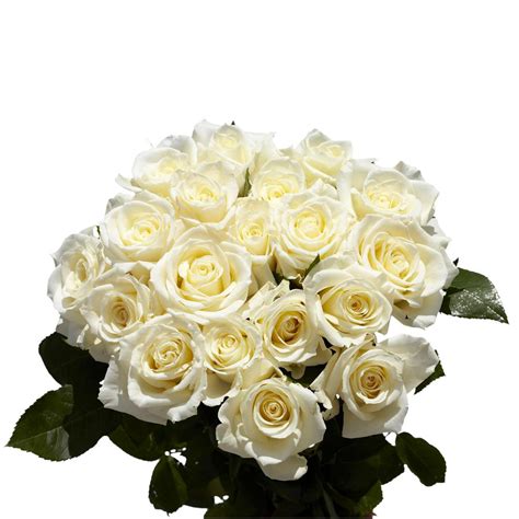 Globalrose Fresh White Roses 100 Stems 100 White Roses Md The Home