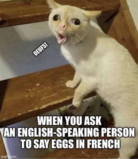 Say Eggs In French Imgflip