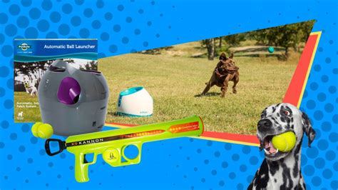 Automatic dog ball throwers can even replace you and offer endless fun for your a dog ball launcher falls into one of two distinct categories. Automatic Dog Ball Launchers Make Great Fetch Toys for Dogs | Retrievist : Retrievist