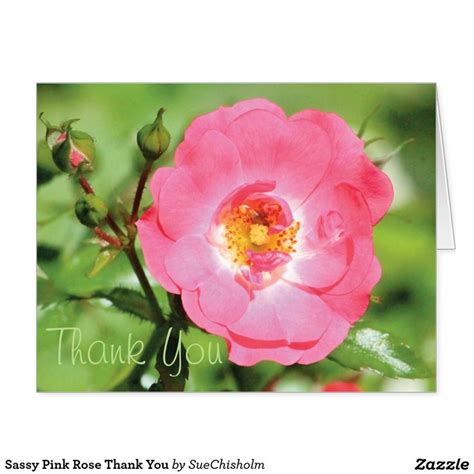 Sassy Pink Rose Thank You Card Pink Pink Rose Rose